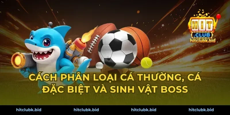 Cách phân loại cá thường, cá đặc biệt và sinh vật boss