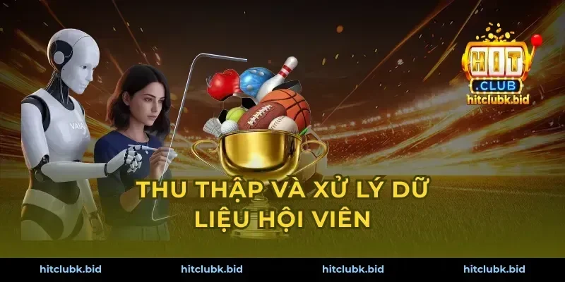 Thu thập và xử lý dữ liệu hội viên