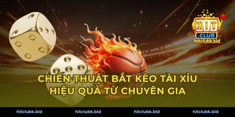 Chiến thuật bắt kèo tài xỉu hiệu quả từ chuyên gia